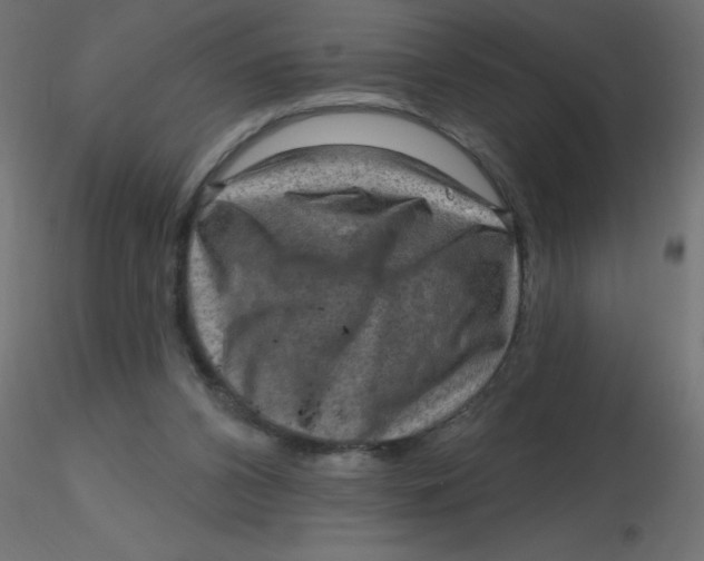 X0000116630112200912312208