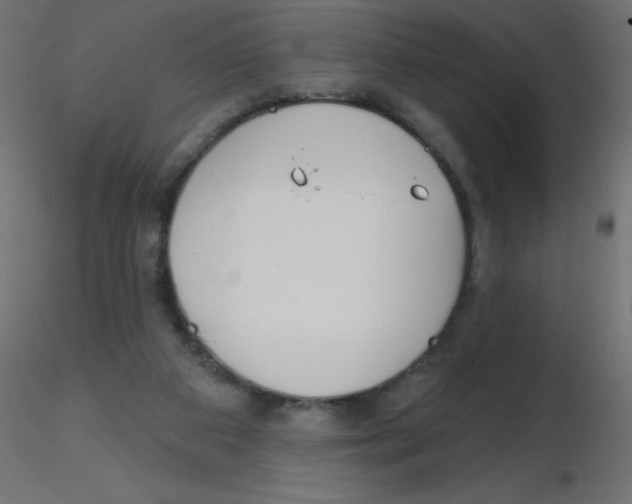 X0000116630113200912312208