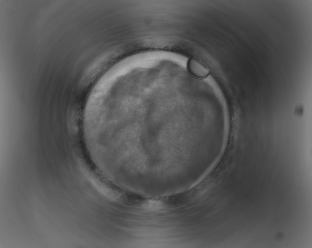 X0000116630114200912312208