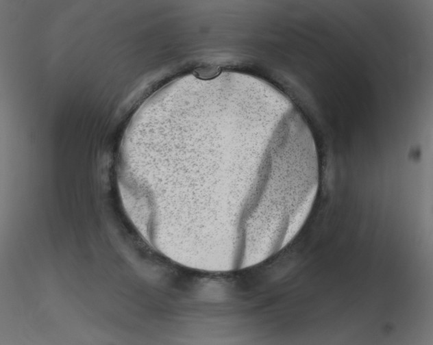 X0000116630115200912312208