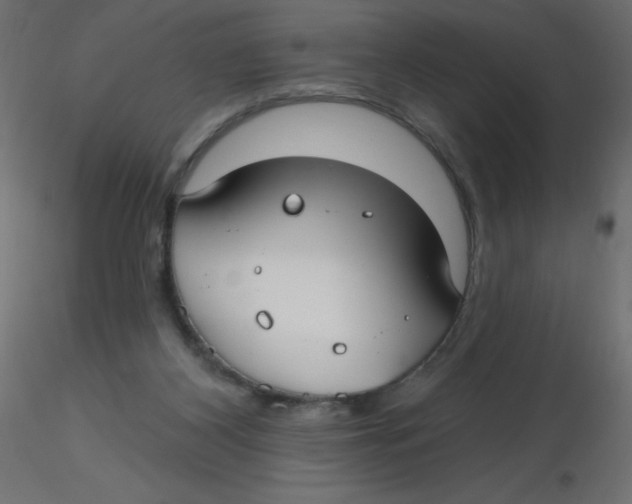 X0000116630116200912312208