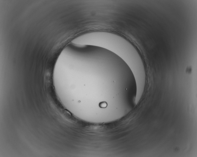 X0000116630117200912312208