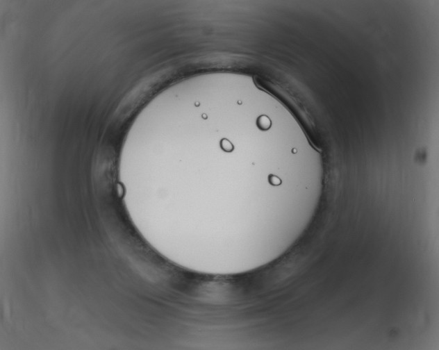 X0000116630119200912312208