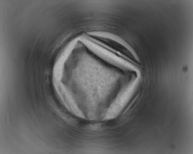 X0000116630120200912312208