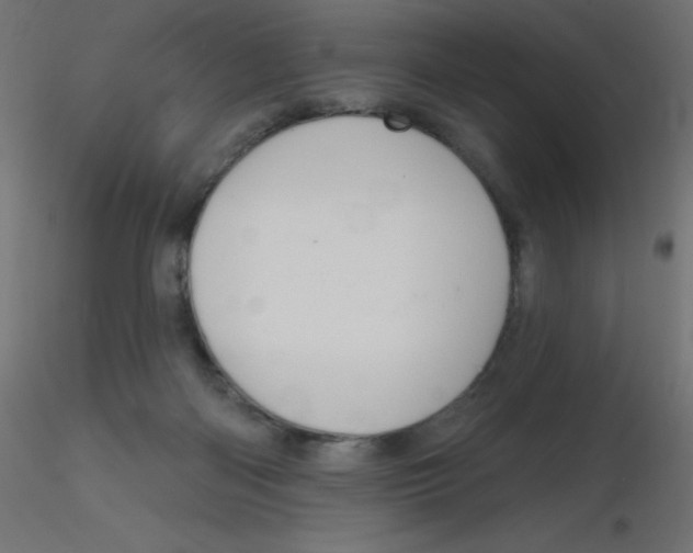 X0000116630122200912312208