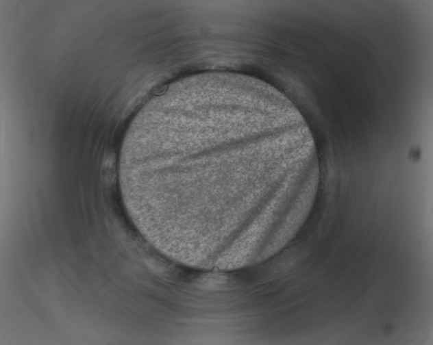 X0000116630123200912312208