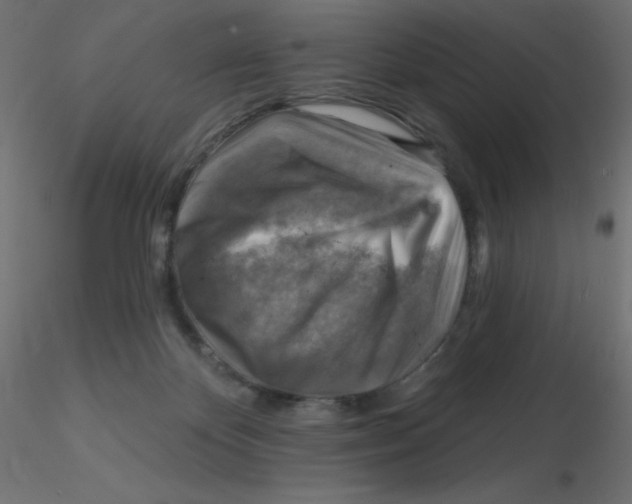 X0000116630124200912312208