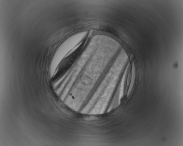 X0000116630125200912312208