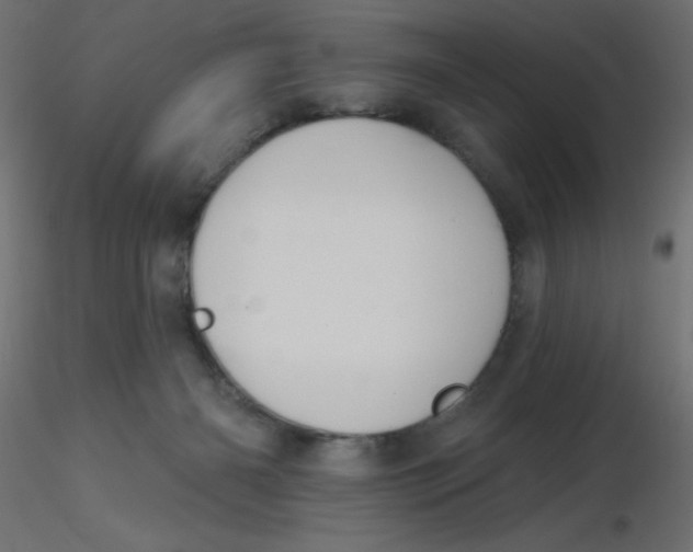 X0000116630126200912312208