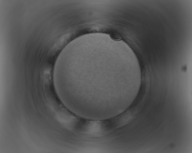 X0000116630127200912312208