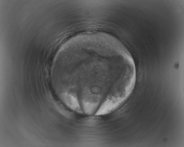 X0000116630128200912312208