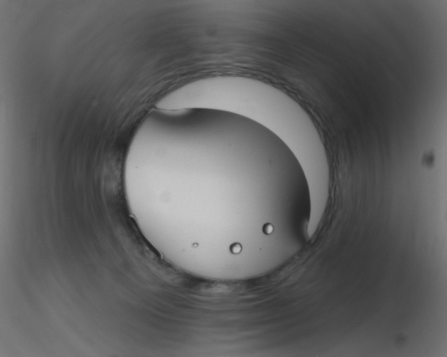 X0000116630129200912312208