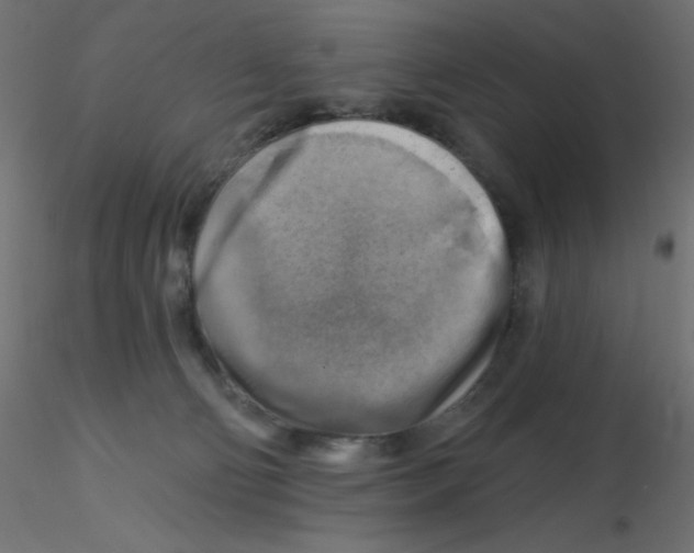 X0000116630130200912312208