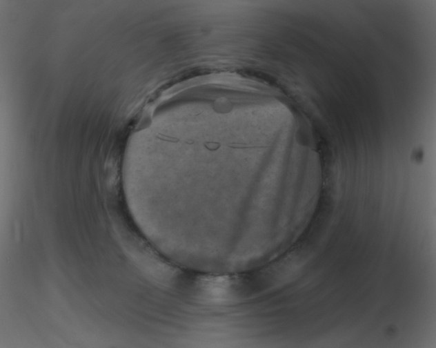 X0000116630131200912312208