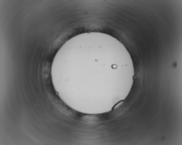 X0000116630133200912312208