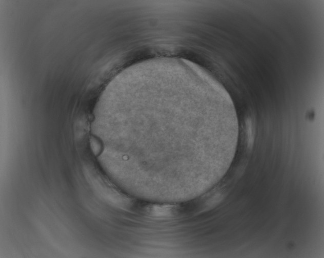 X0000116630134200912312208