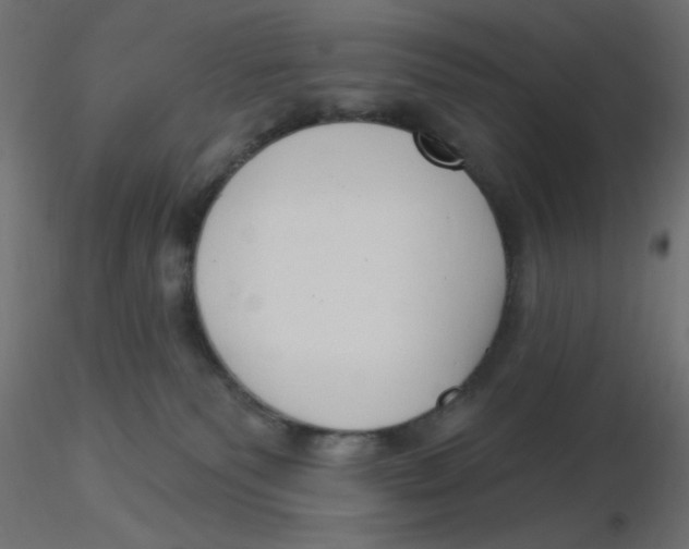 X0000116630135200912312208