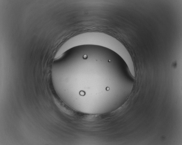 X0000116630136200912312208