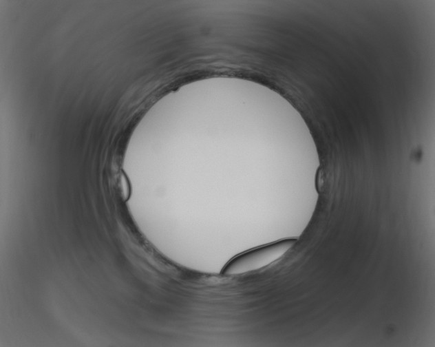 X0000116630137200912312208