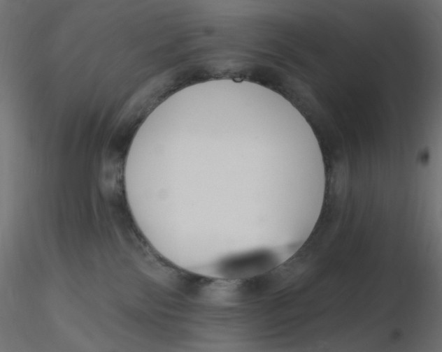 X0000116630138200912312208