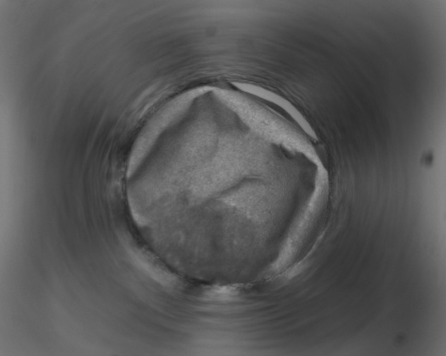 X0000116630140200912312208