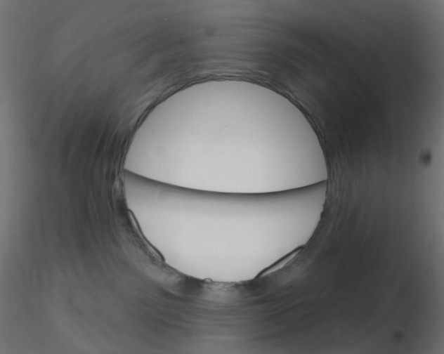 X0000116630141200912312208