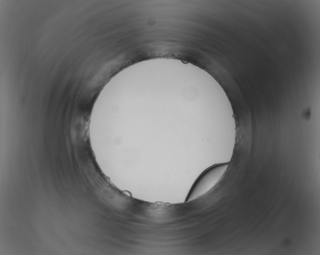 X0000116630142200912312207