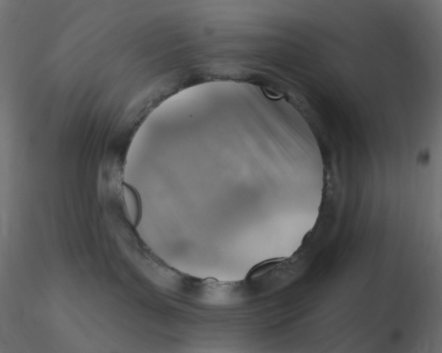 X0000116630143200912312207