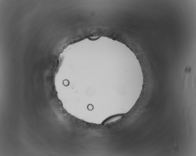 X0000116630144200912312207