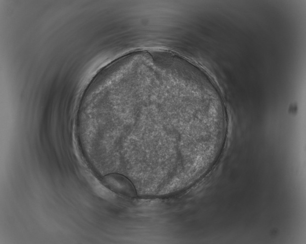 X0000116630145200912312207