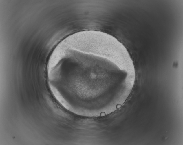 X0000116630146200912312207