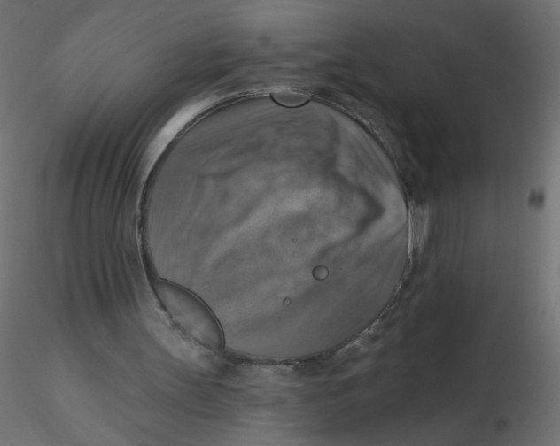 X0000116630147200912312207