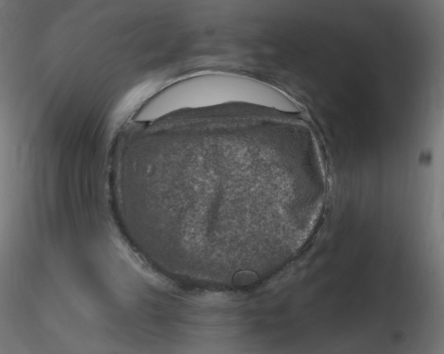 X0000116630149200912312207