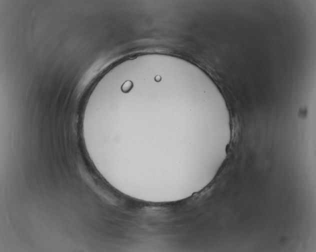 X0000116630150200912312207