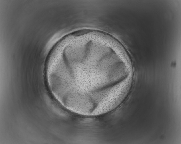 X0000116630151200912312207