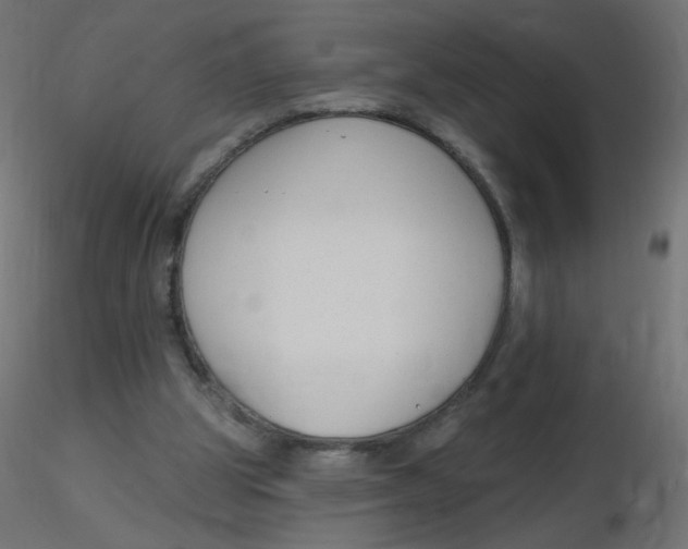 X0000116630153200912312207