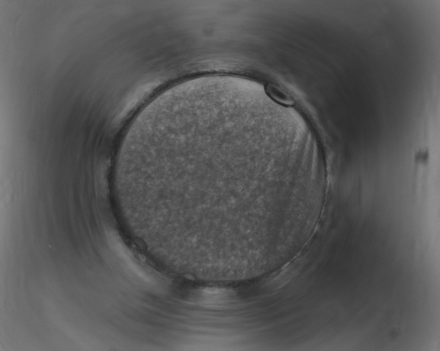 X0000116630154200912312207