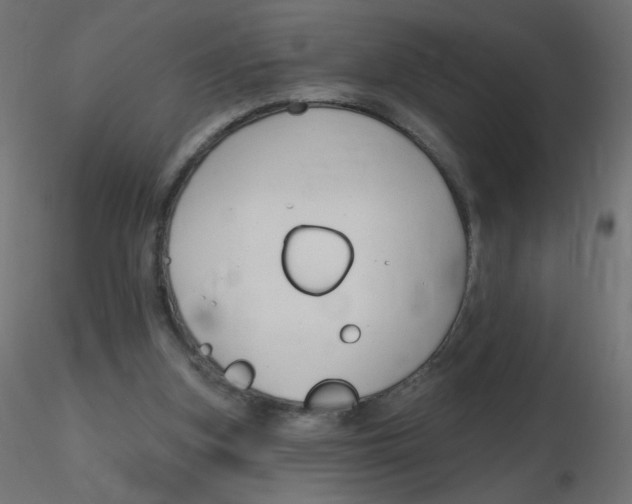 X0000116630155200912312207