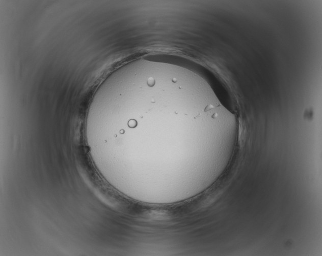 X0000116630157200912312207