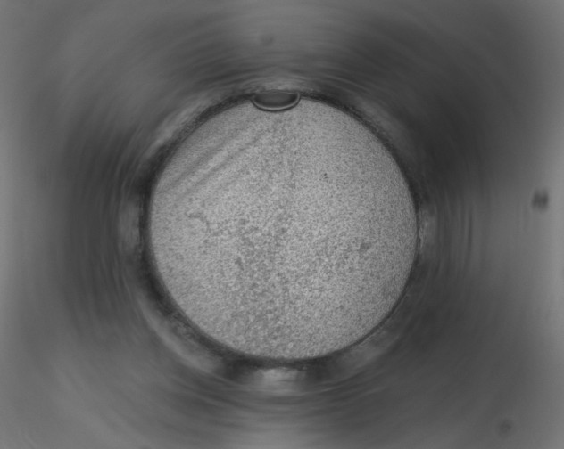 X0000116630158200912312207