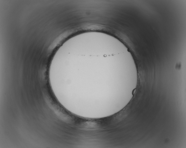 X0000116630159200912312207