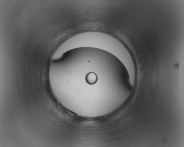 X0000116630161200912312207