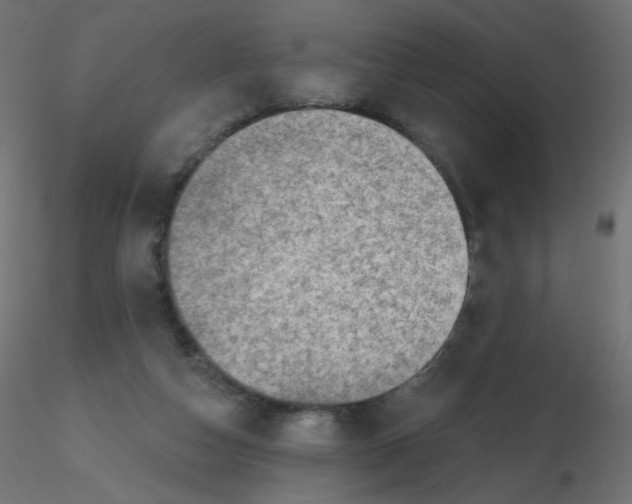 X0000116630162200912312207