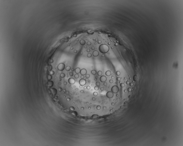 X0000116630163200912312207