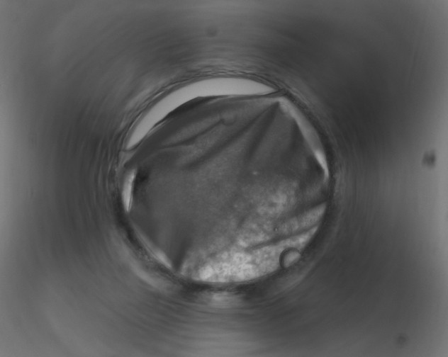 X0000116630165200912312207