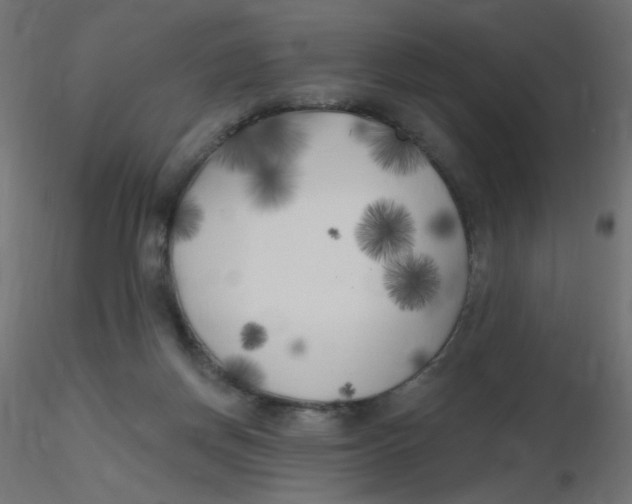 X0000116630166200912312207