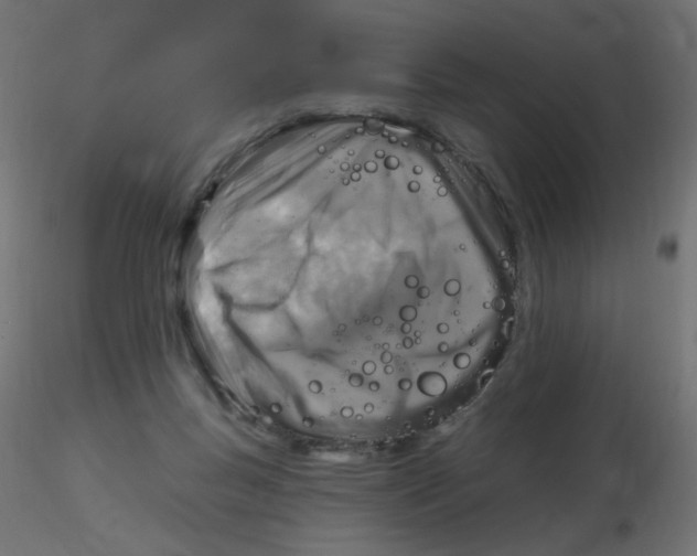 X0000116630167200912312207