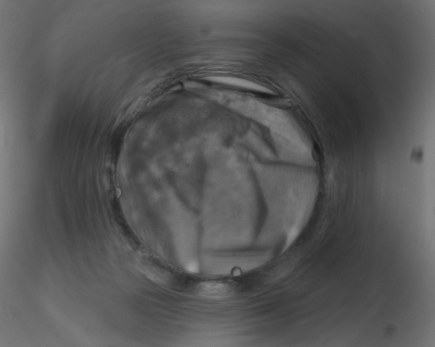 X0000116630169200912312207