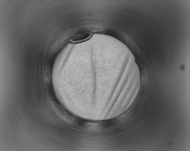 X0000116630170200912312207