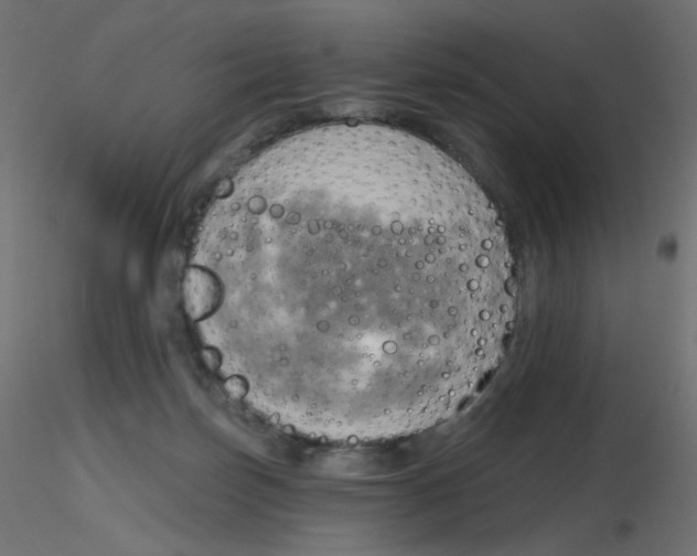 X0000116630171200912312207